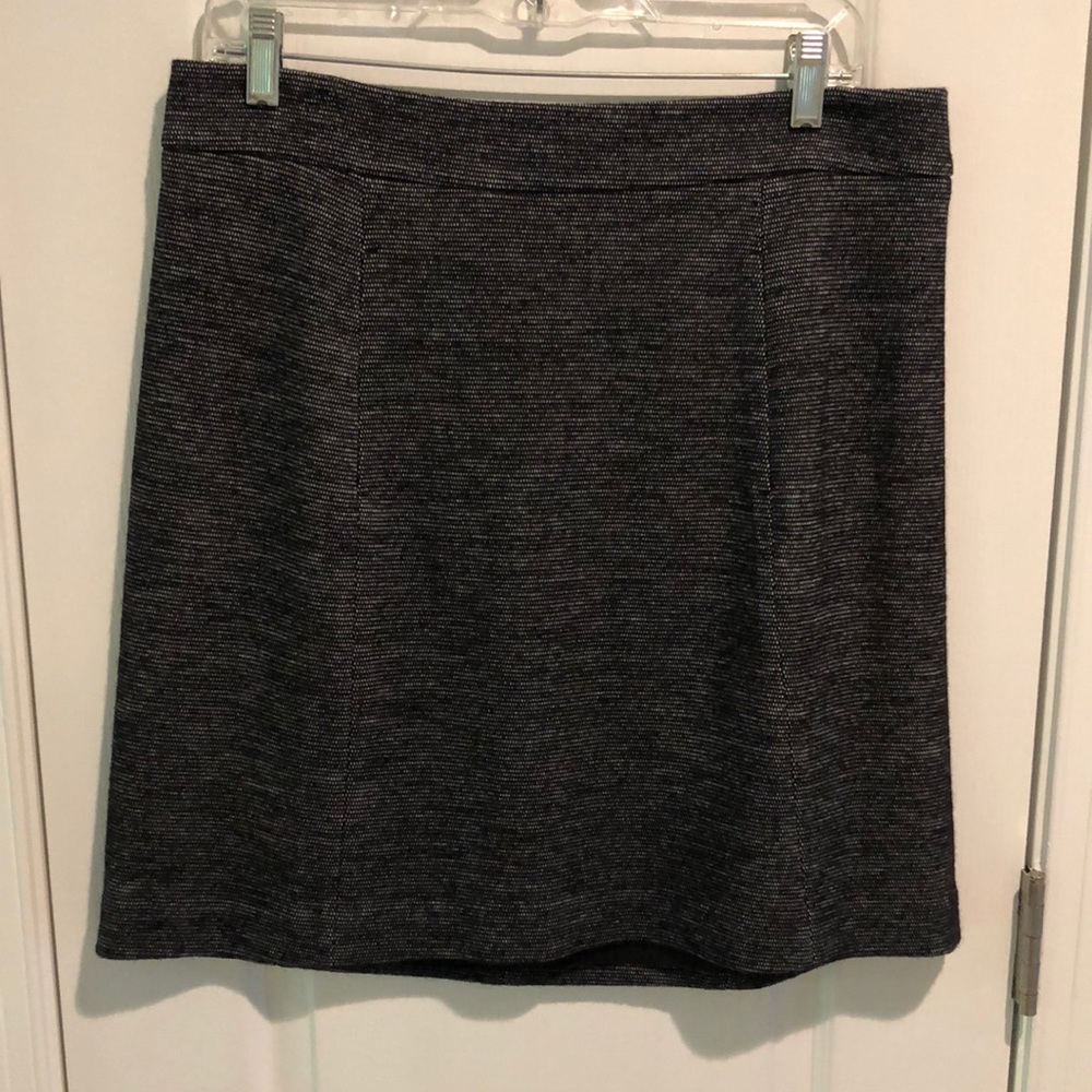 Ann Taylor Skirt